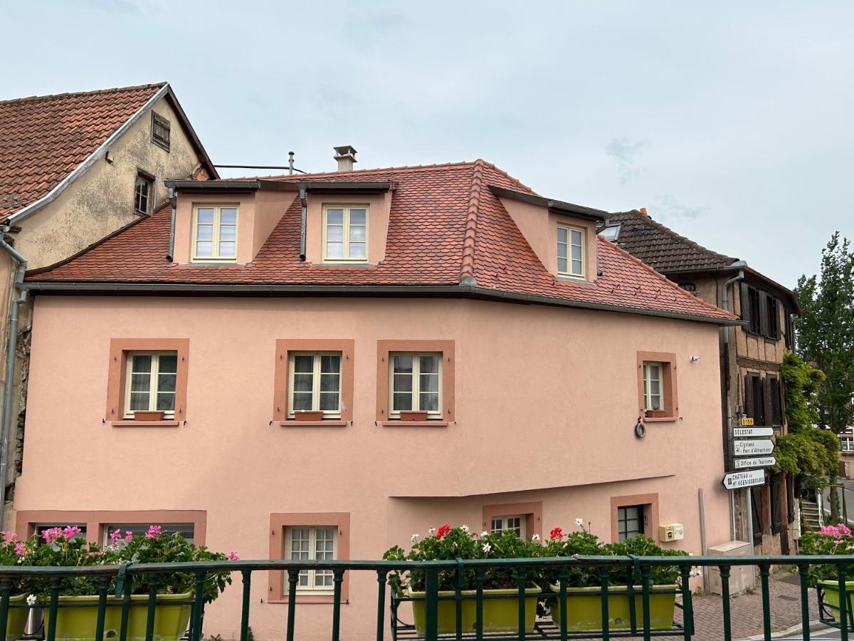 Gite Ma Maison Kintzheim Luaran gambar