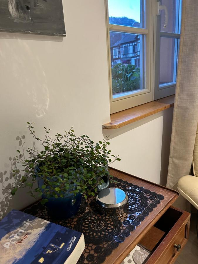 Gite Ma Maison Kintzheim Luaran gambar